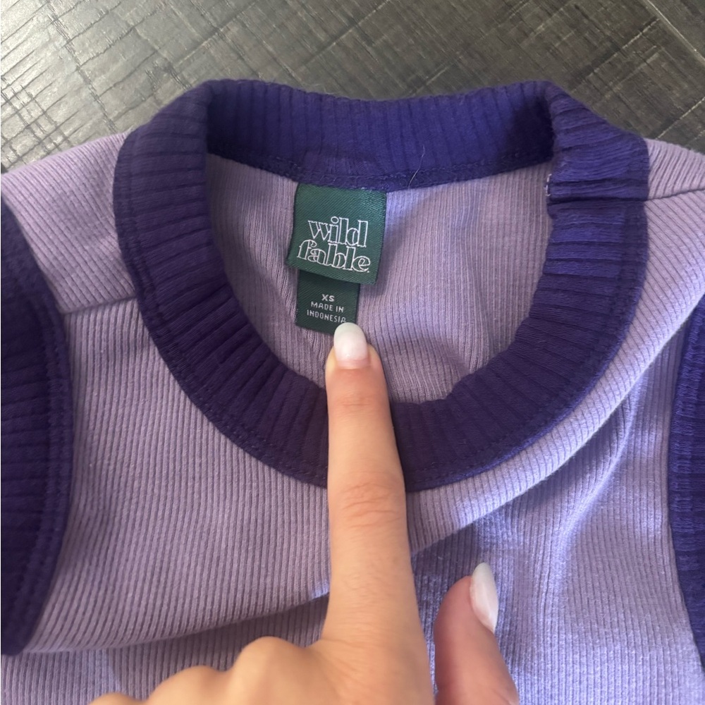 Wild Fable Lavender and Dark Purple Crew Neck Sweater